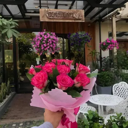 Rocky Cafe & Mini Apartment