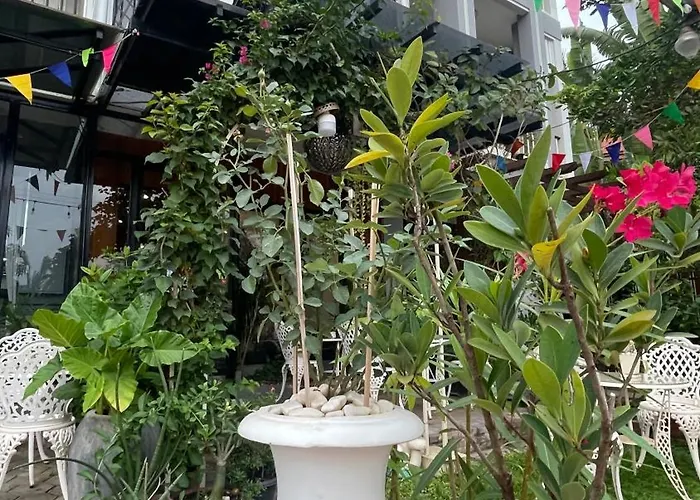 Rocky Cafe & Mini Hotel 2*